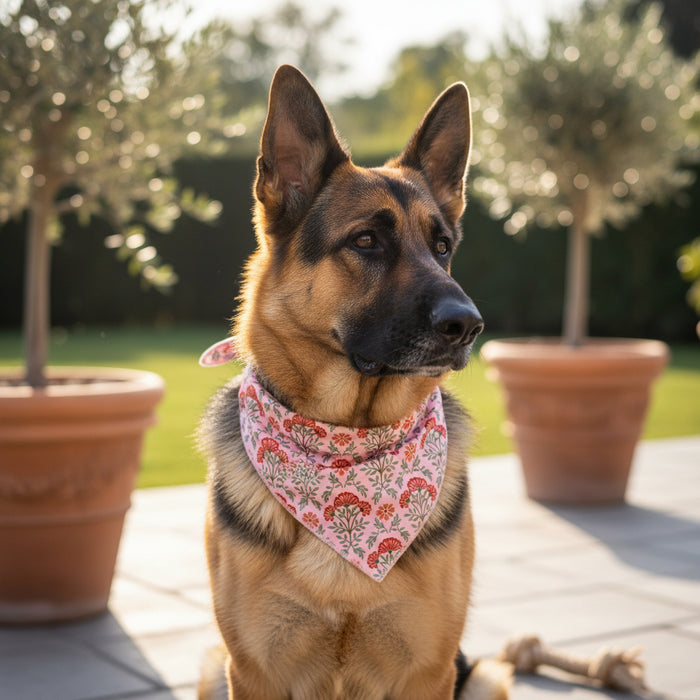 A German Shepherd sports The Darling Effect's Bow-Wow Pet Bandana-Everbloom Dusty Rose on a sunlit patio with potted plants and greeneryβa perfect showcase of stylish pet fashion.