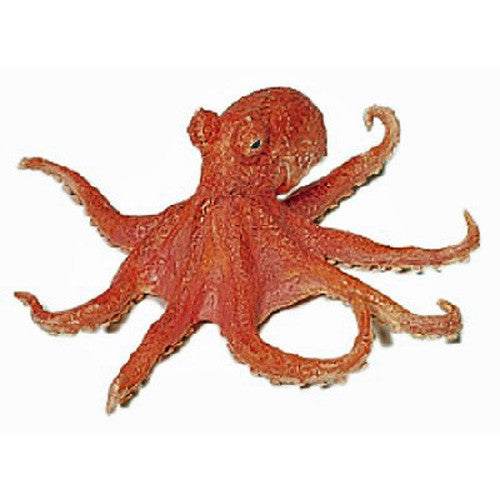 Octopus