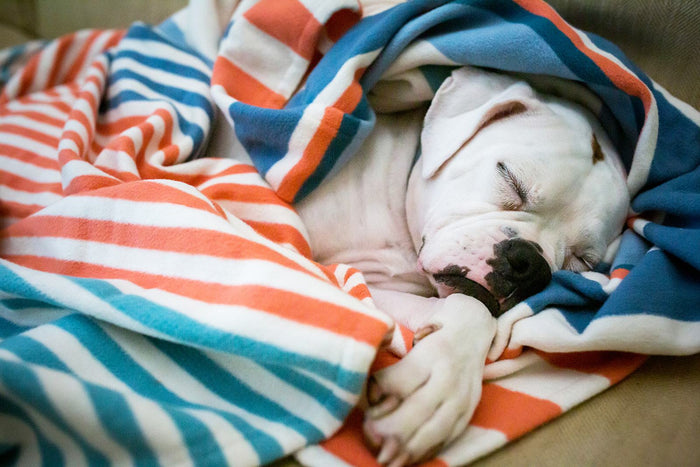 Orange, Teal & White Striped Organic Cotton Throw Blanket- Supports USA Domestic Violence Victims