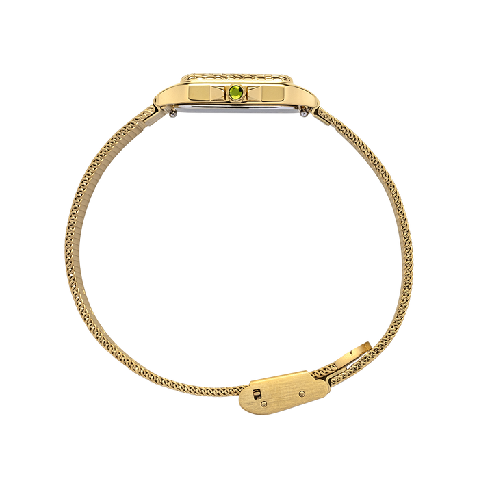 Petite Tortue black & gold