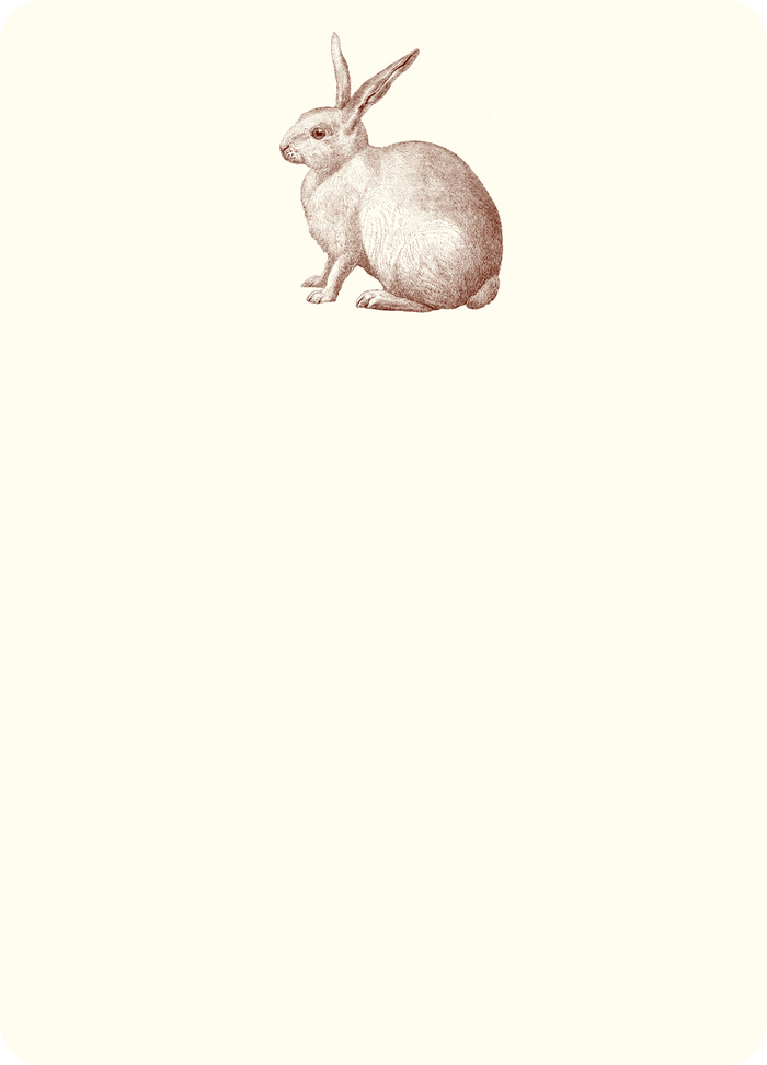 Rabbit A6 Notes