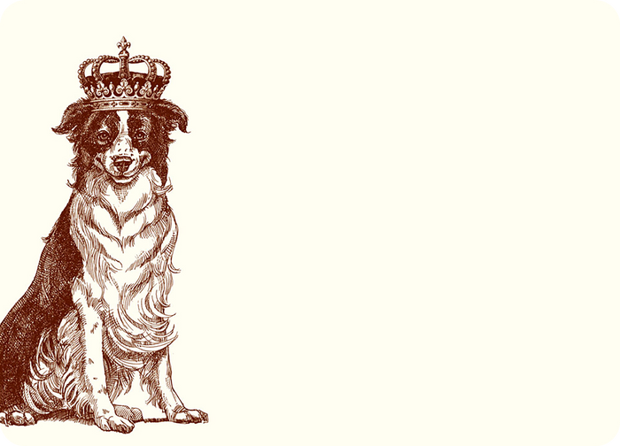 Royal Australian Shepherd A6 Notes