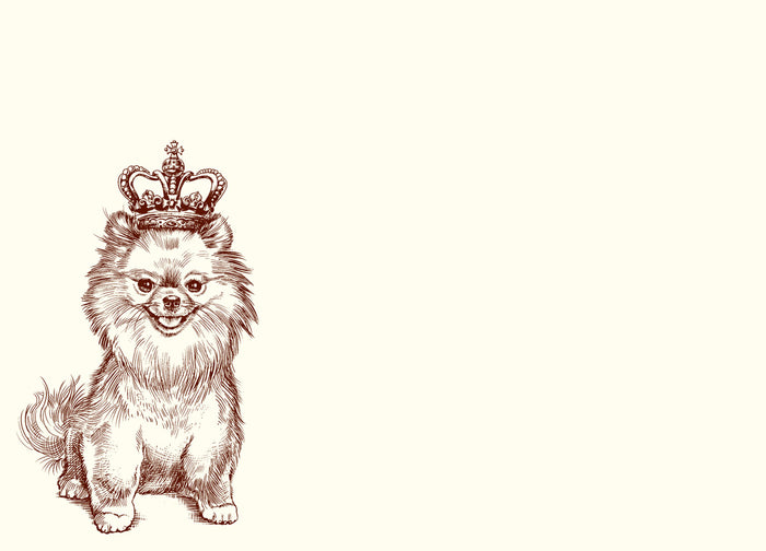 Royal Pomeranian A6 Notes