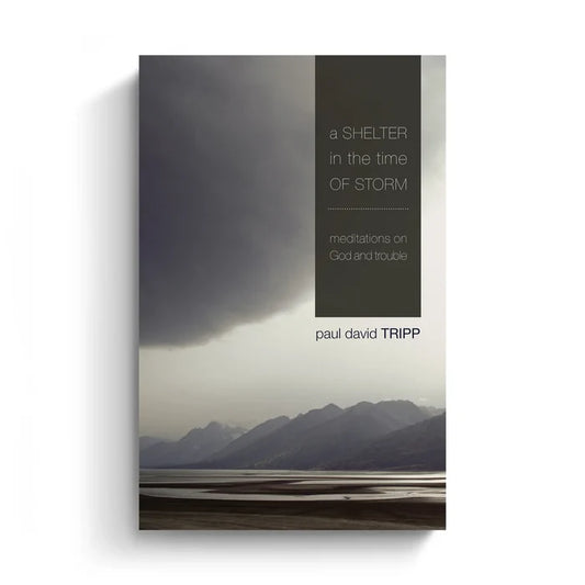 A Shelter in the Time of Storm (eBook)
