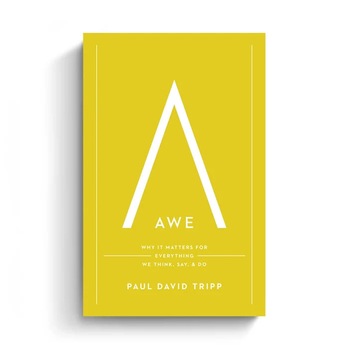 Awe (Translated eBook)
