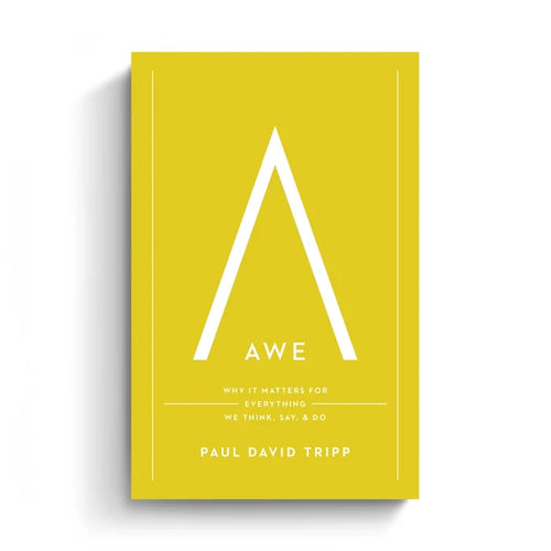 Awe (Translated eBook)