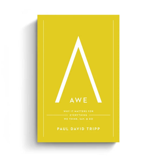 Awe (Translated eBook)