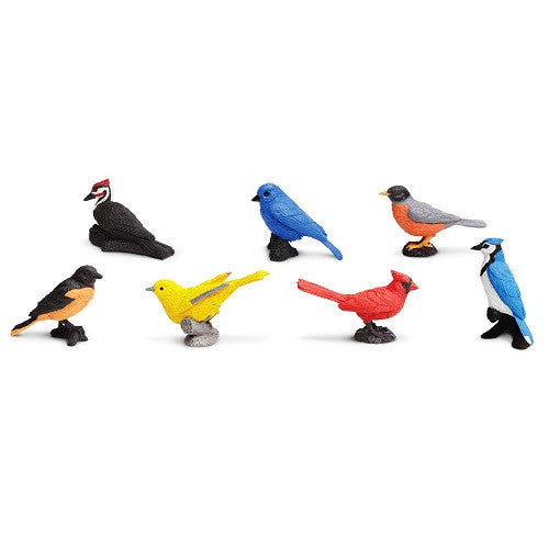 Backyard Birds Toob
