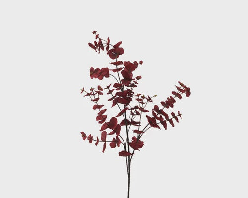 Burnt Autumn Eucalyptus Spray