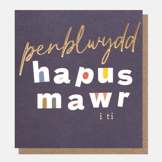 Caroline Gardner Welsh Big Happy Birthday To You Greetings Card