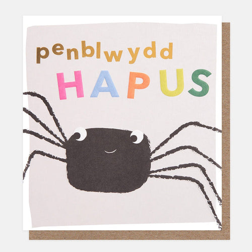 Caroline Gardner Welsh Happy Birthday Spider Greetings Card