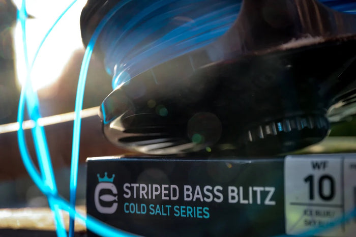 cortland_cold_salt_series_striped_bass_blitz_fly_line_1