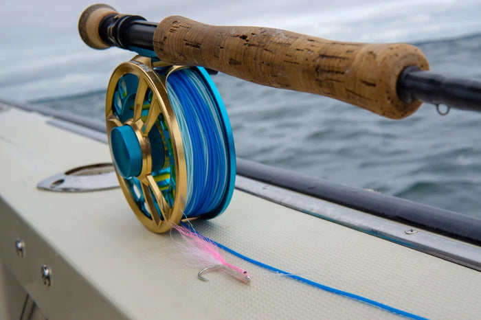 cortland_cold_salt_series_striped_bass_blitz_fly_line_3