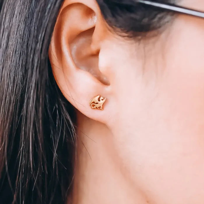 Dragon Stainless Steel Stud Earrings jewelry