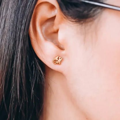 Dragon Stainless Steel Stud Earrings jewelry