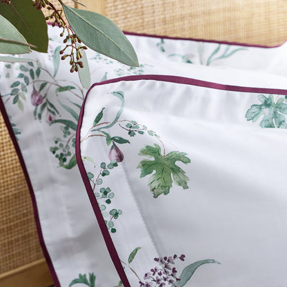 Fig Leaves Standard Pillowcase Pair