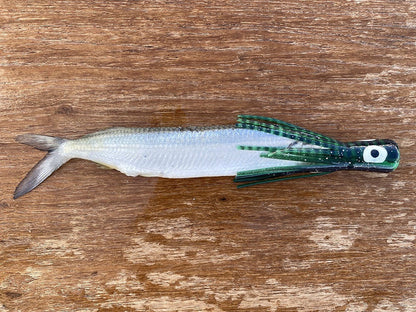 Medium Chugger / Black/Green