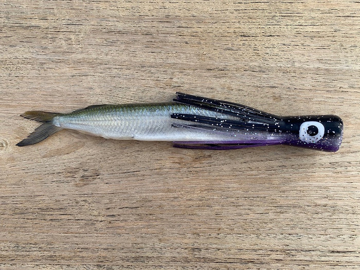 Big Chugger / Black/Purple