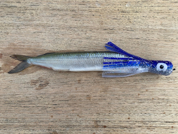 Fish Downsea - Chugger Heads