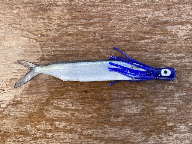 Fish Downsea - Chugger Heads