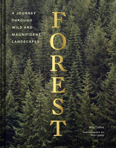 Forest by Matt Collins