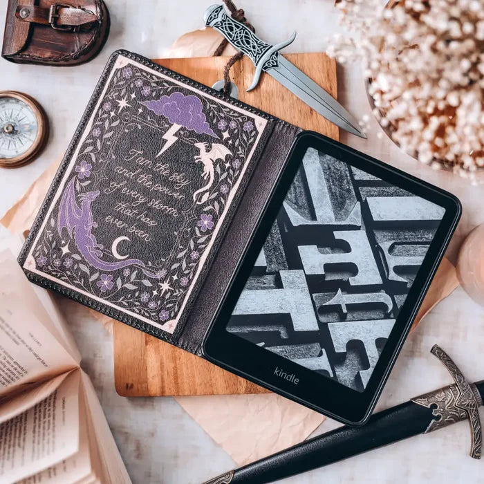 Fourth Wing Inspired: Sky and Power Paperwhite Kindle Case Accessories