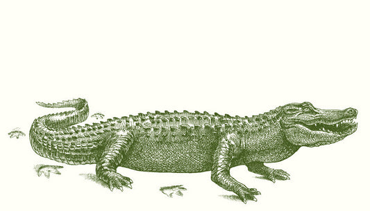 Gator Crossing Gift Cards