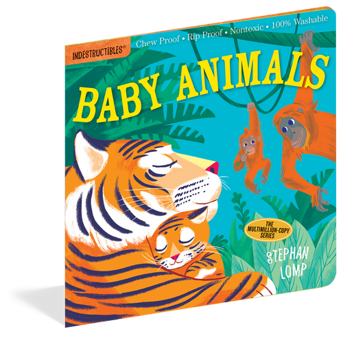 Indestructibles Baby Books