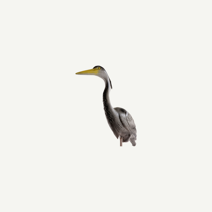Longlife Reiher