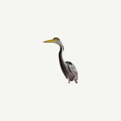 Longlife Reiher