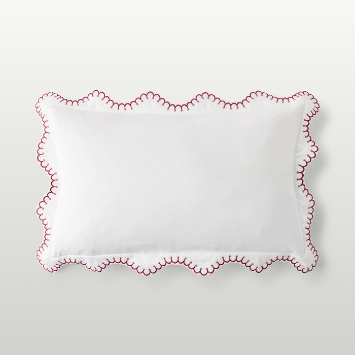 Raspberry-product_image