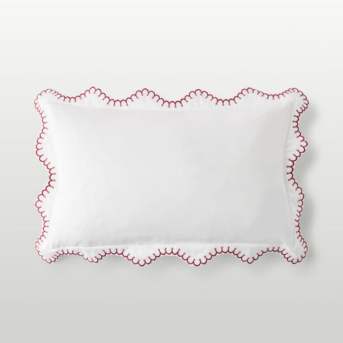 Raspberry-product_image