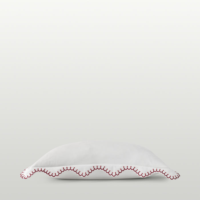 Raspberry-product_image