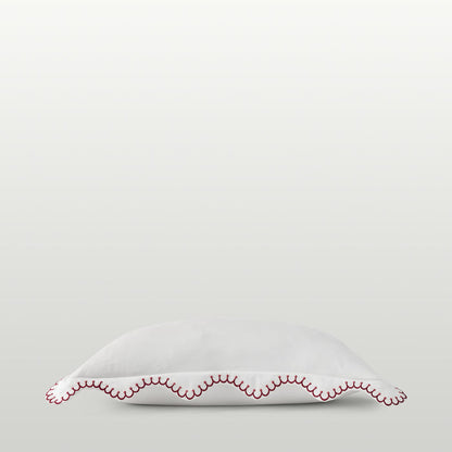 Raspberry-product_image