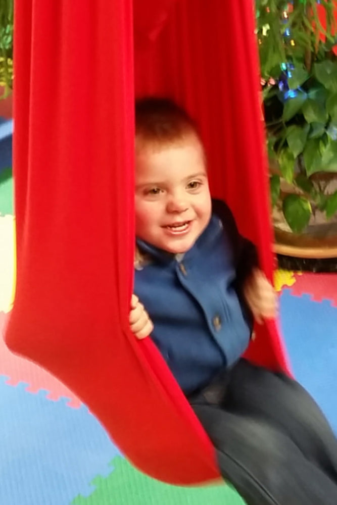 Lycra Cocoon Swing