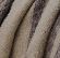 Neutral-product_swatch