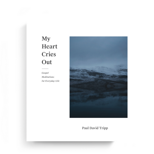My Heart Cries Out: Gospel Meditations for Everyday Life (eBook)