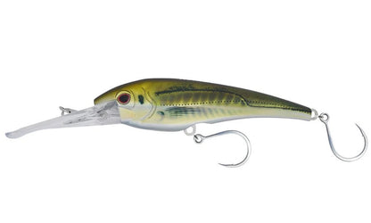 Olive Back Shad