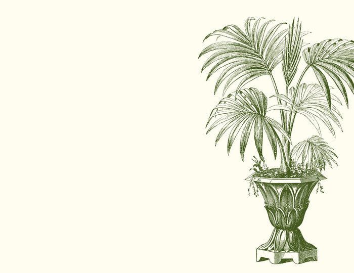Palm Urn A2 Note