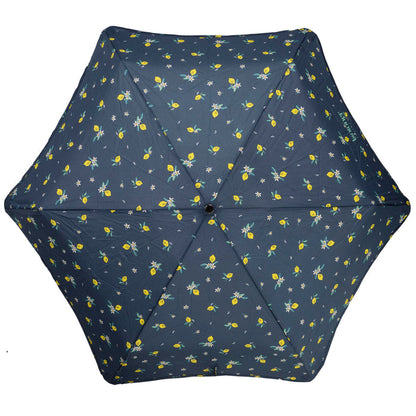 #coloris_citron jaune
