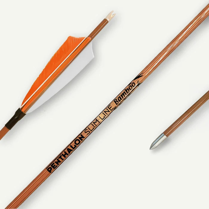 Penthalon Carbonpfeile Slim Line Bamboo Naturfedern 800