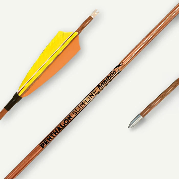 Penthalon Carbonpfeile Slim Line Bamboo Naturfedern 700