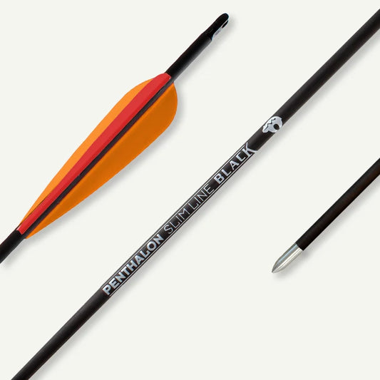 Penthalon Carbonpfeile Slim Line Black Fletches 1300