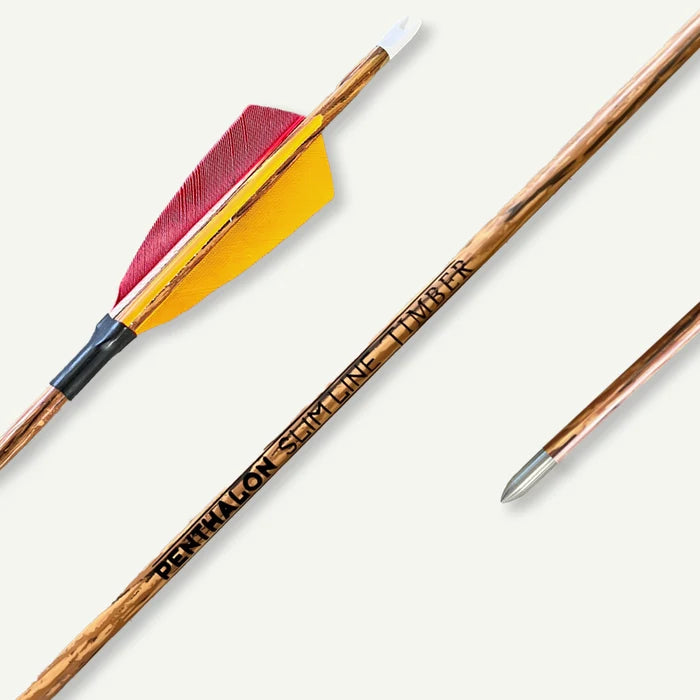 Penthalon Carbonpfeile Slim Line Timber Naturfedern 1000