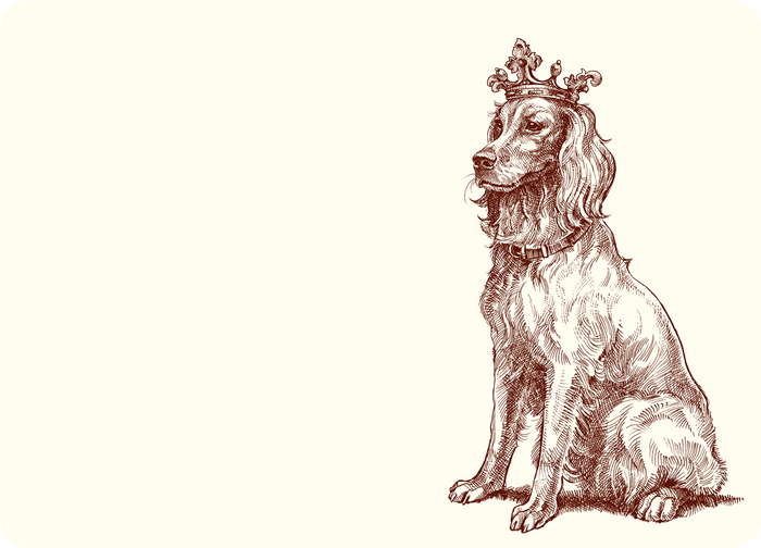Royal Retriever A6 Notes