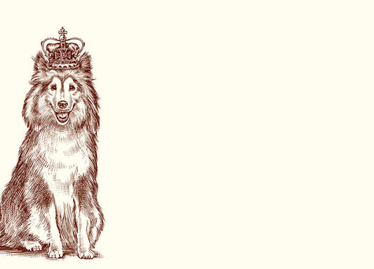 Royal Sheltie A6 Notes