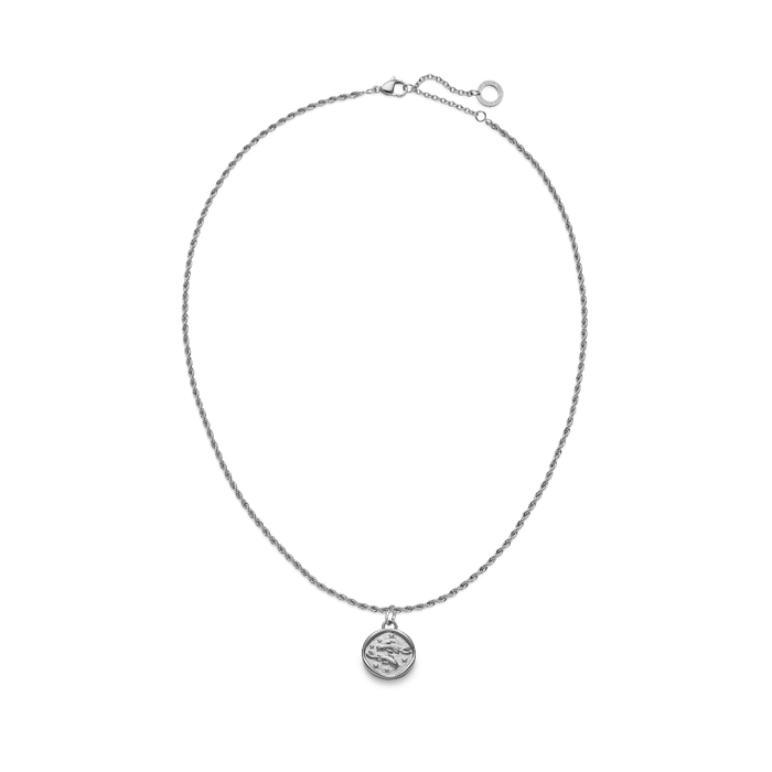 Set Pisces Charm und Halskette Silber