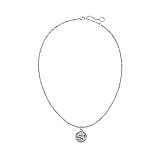 Set Pisces Charm und Halskette Silber