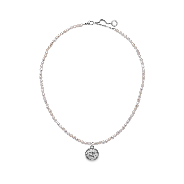 Set Pisces Charm und Halskette Silber