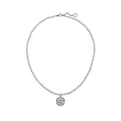Set Pisces Charm und Halskette Silber